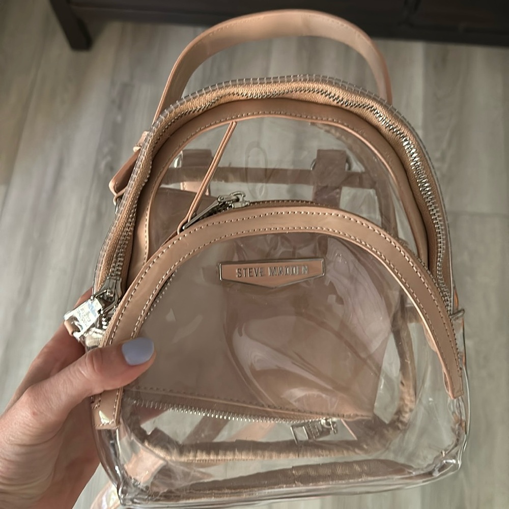 Clear backback